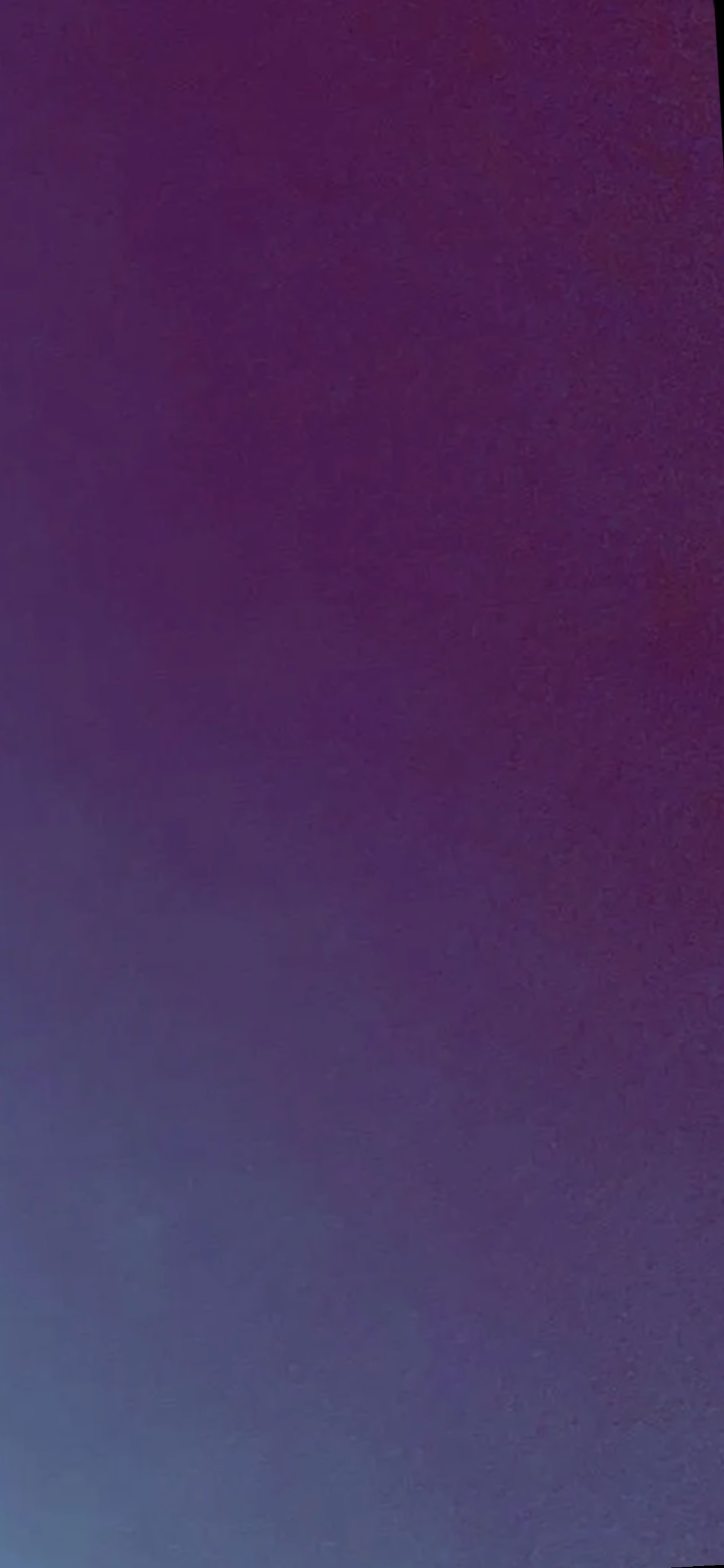 Desiree banner image