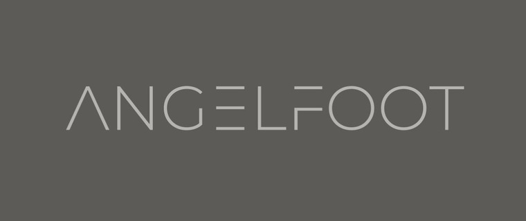 Angel cover image