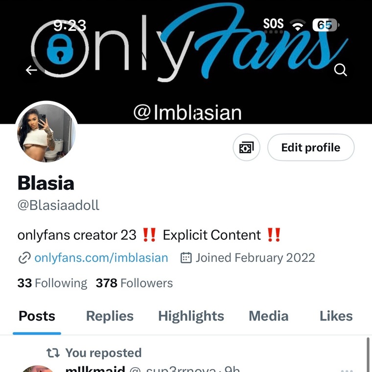 Blasiaadoll cover image