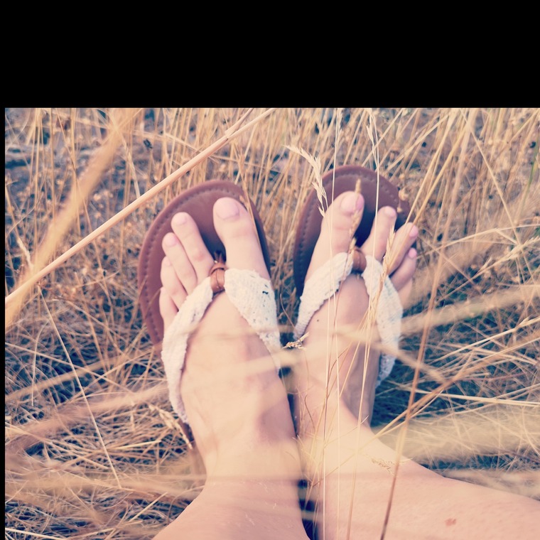 Stella Pedes cover image