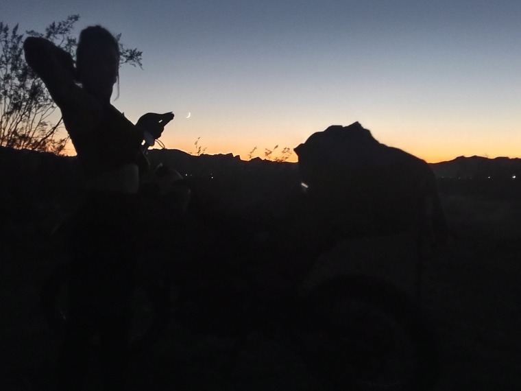 Ginger Foxx banner image