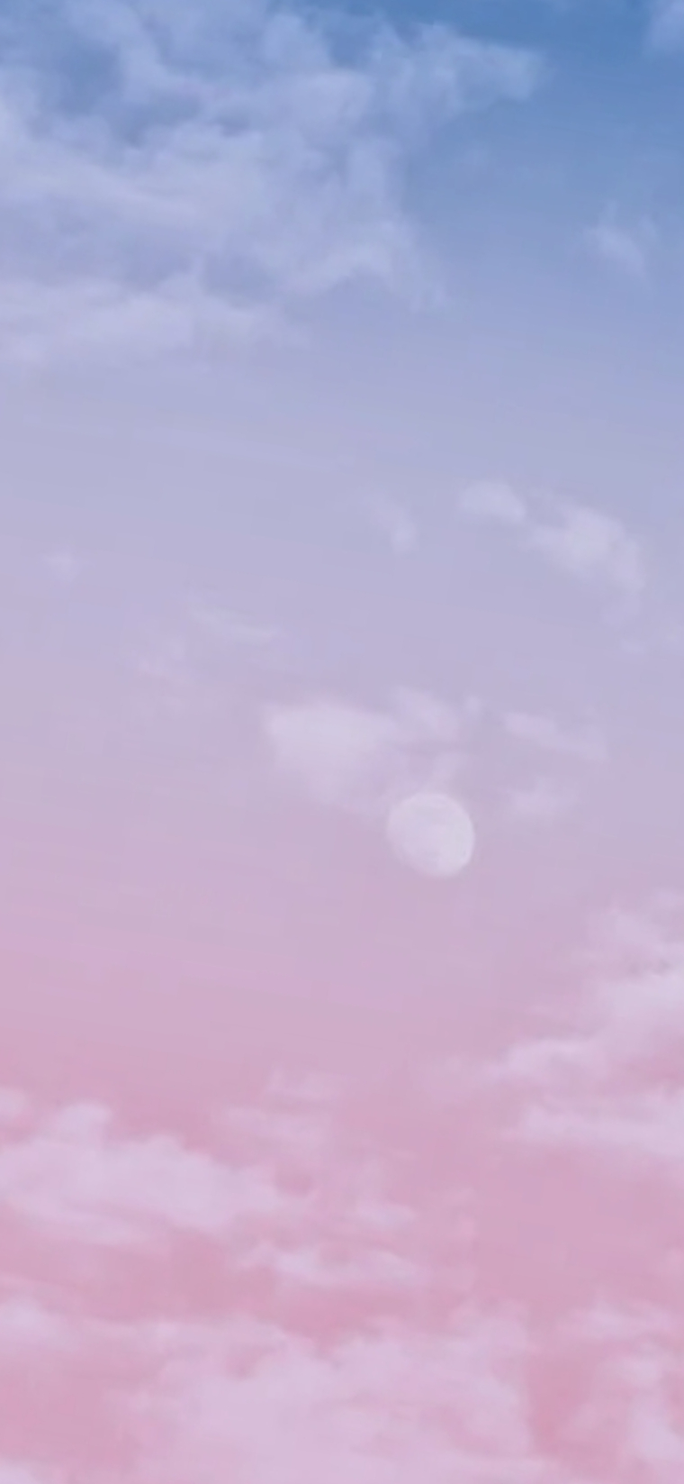 Ciro Zak banner image
