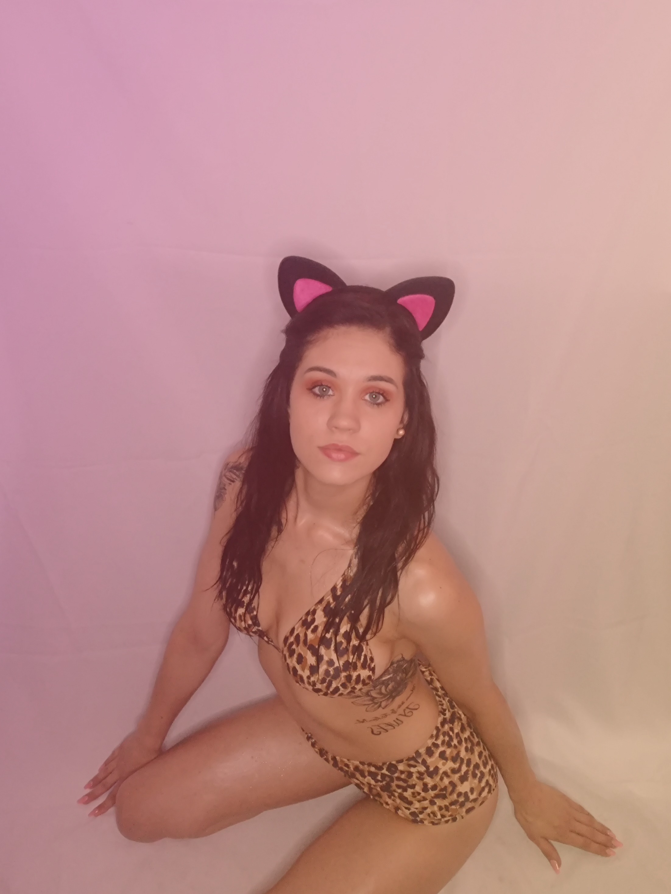 P*ssycat banner image