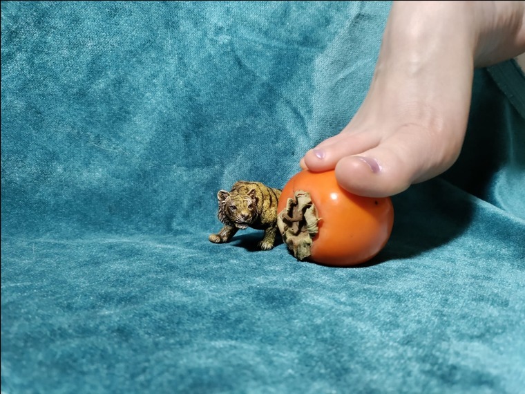 Feet&Food banner image