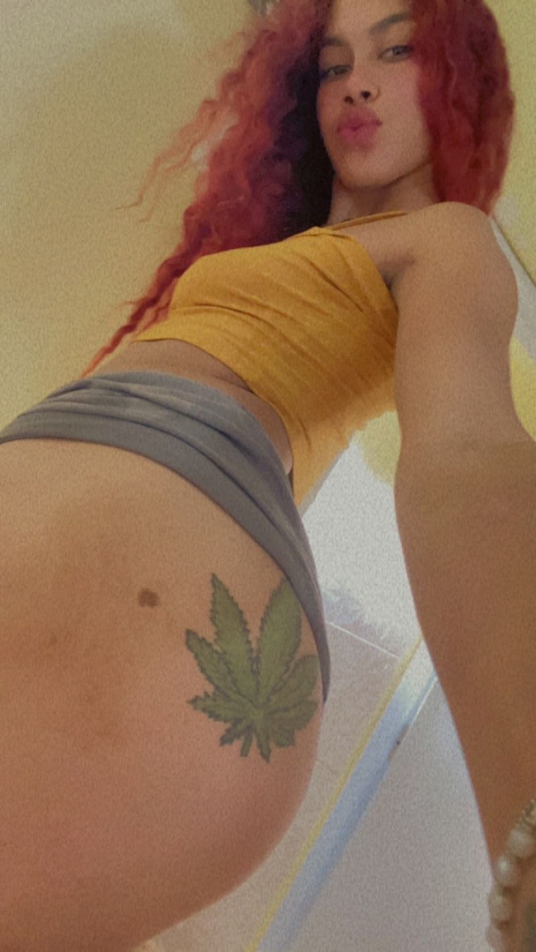 La chory cover image