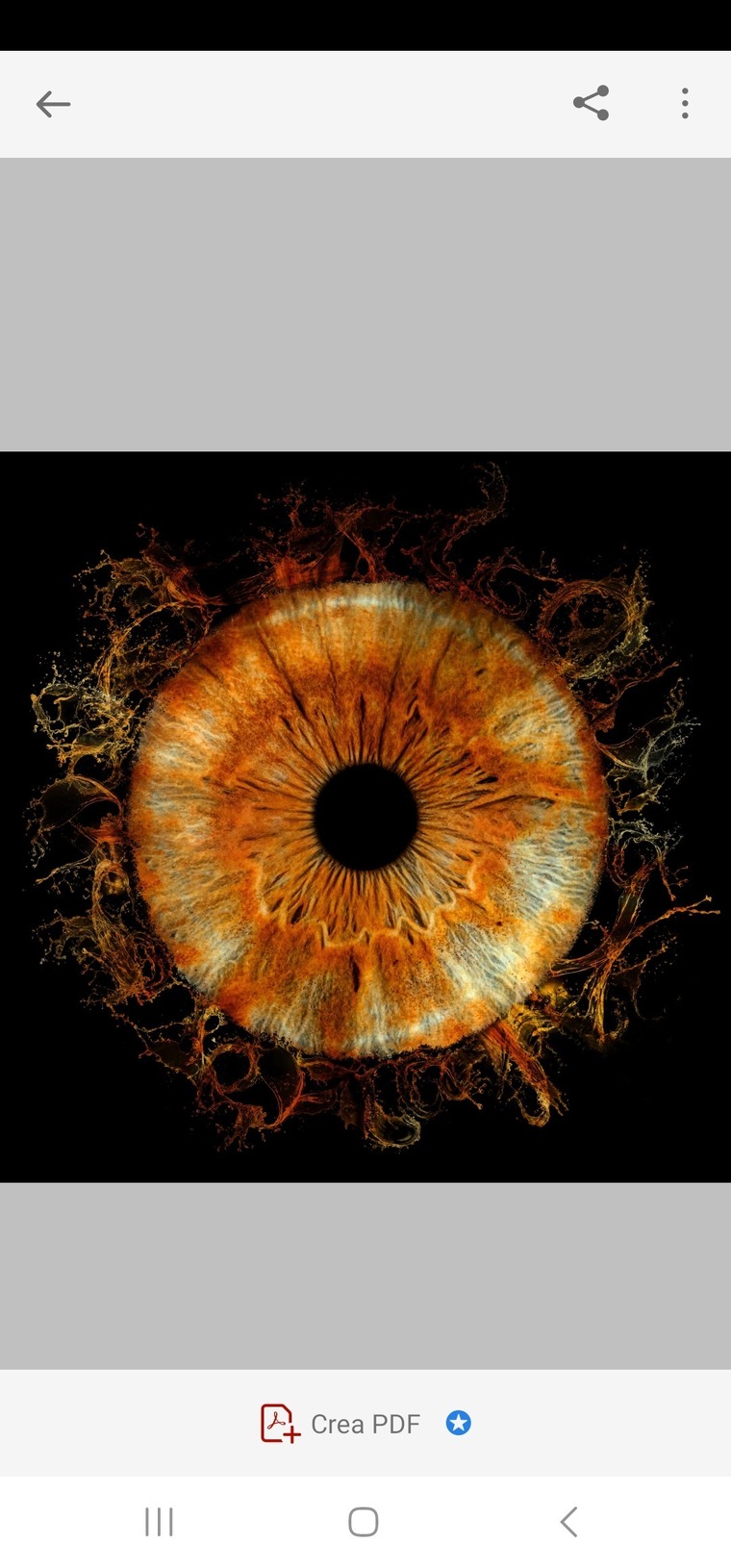 u383205637 cover image