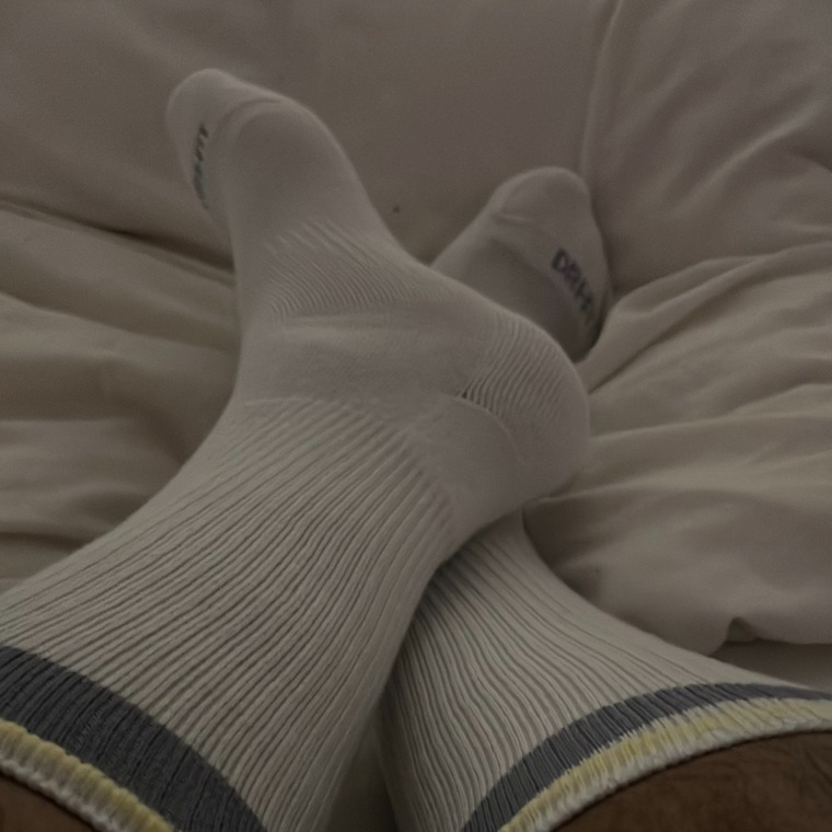 DomLadAndPals banner image