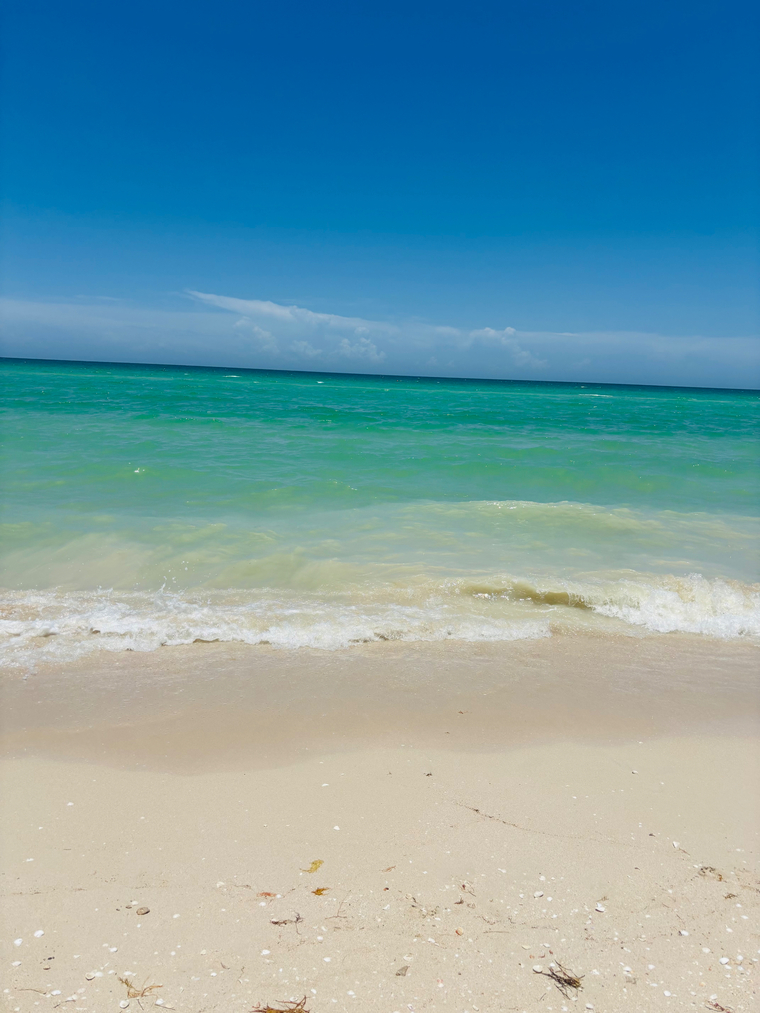 BeachBoyXXX cover image