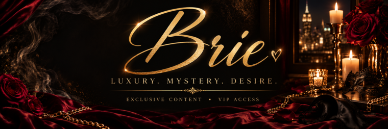 lifeandtravelswithbrit banner image