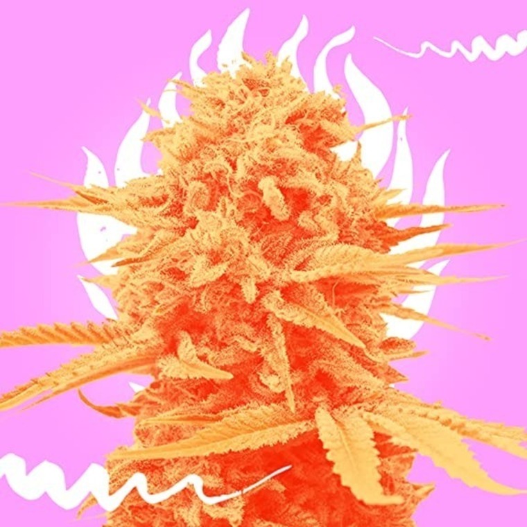 Adrian santillan cover image