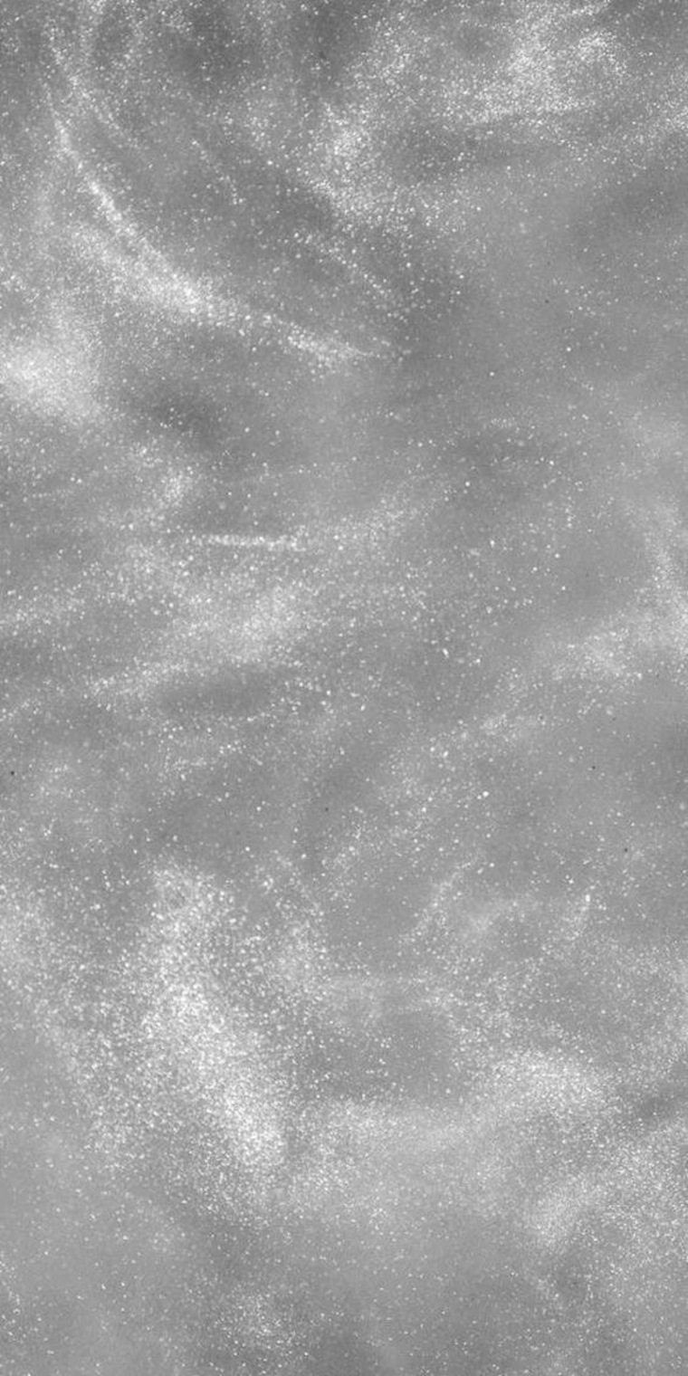 Anastasiya banner image