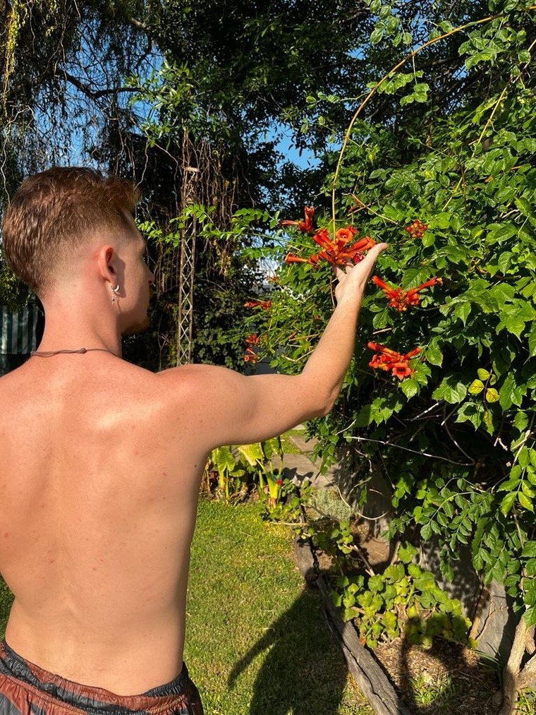 Latin_ginger banner image