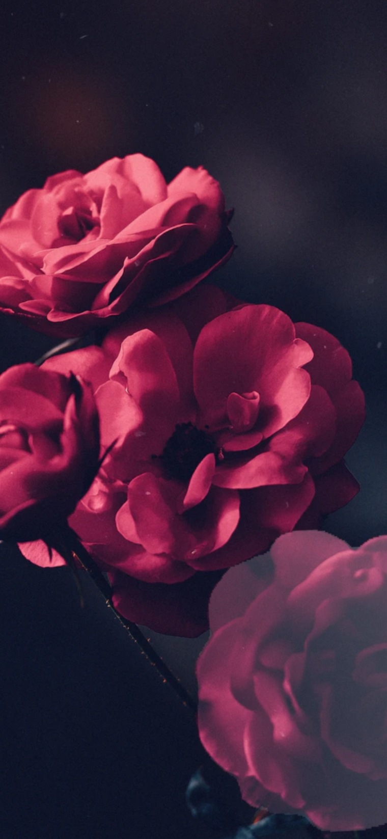 SMama banner image