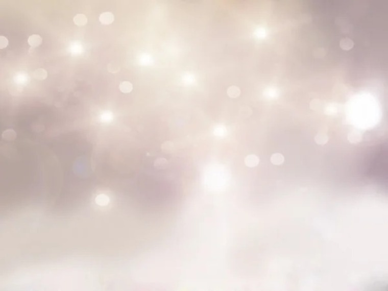 veramihnevic banner image