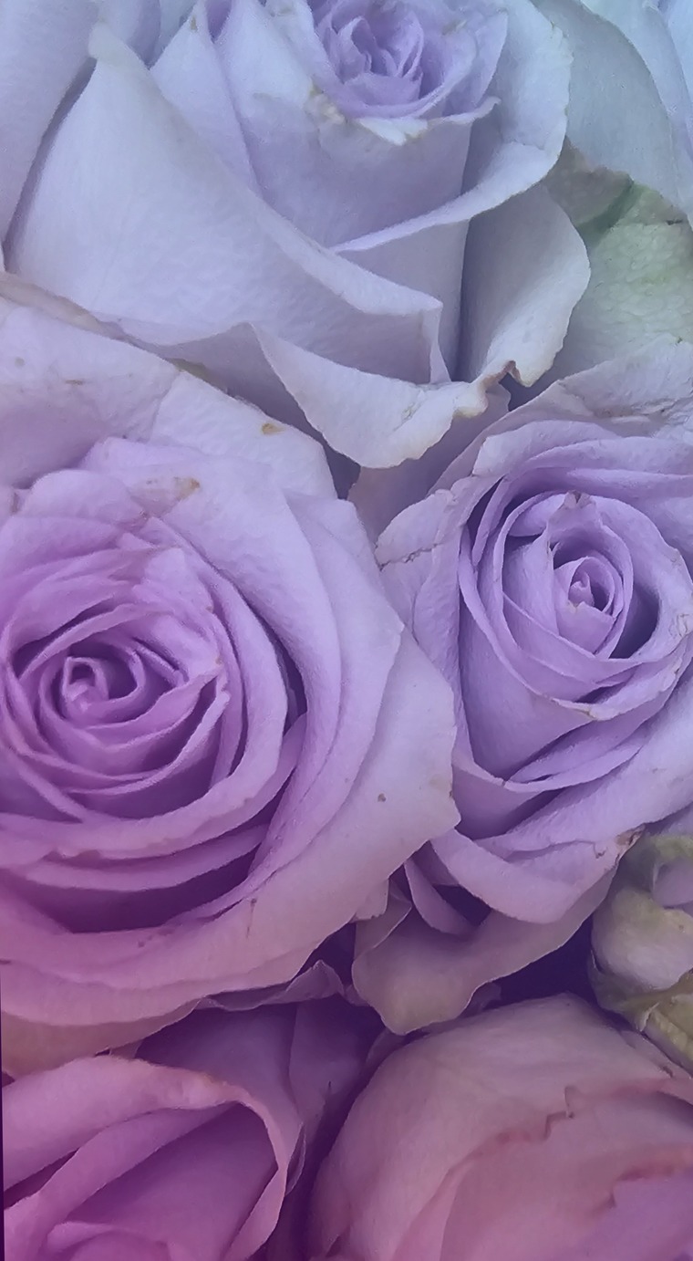 Annaswedee banner image