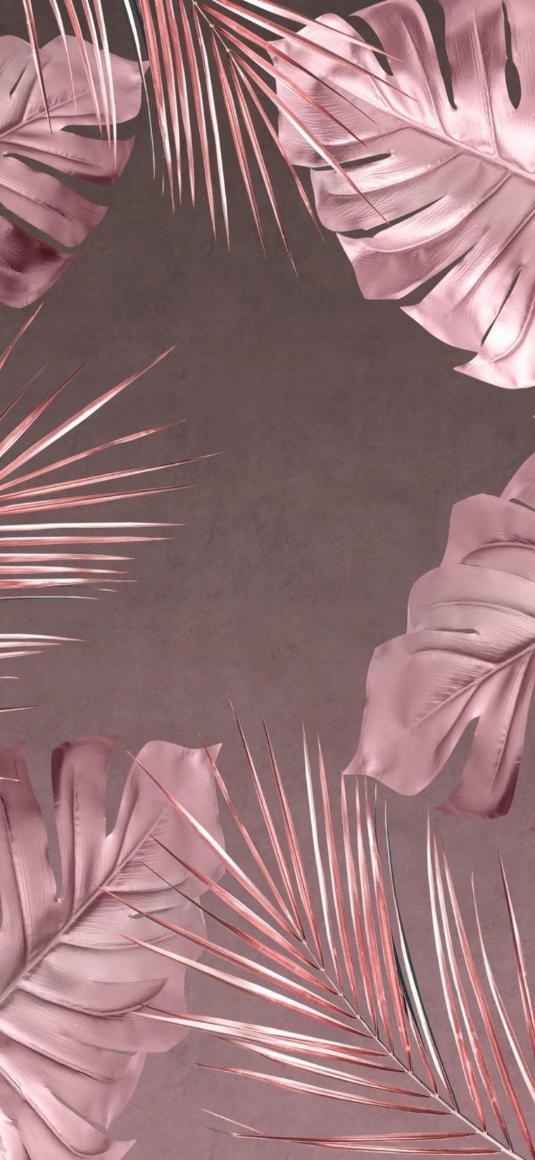 Elzbeeethx cover image
