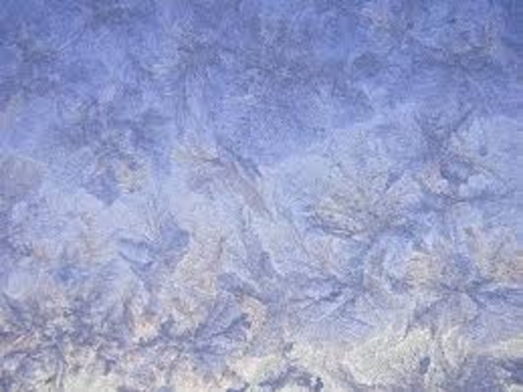 Dina banner image