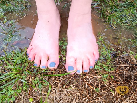 HoneySweetFeet cover image