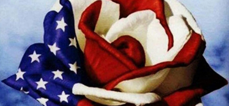 Amy Across America cover image