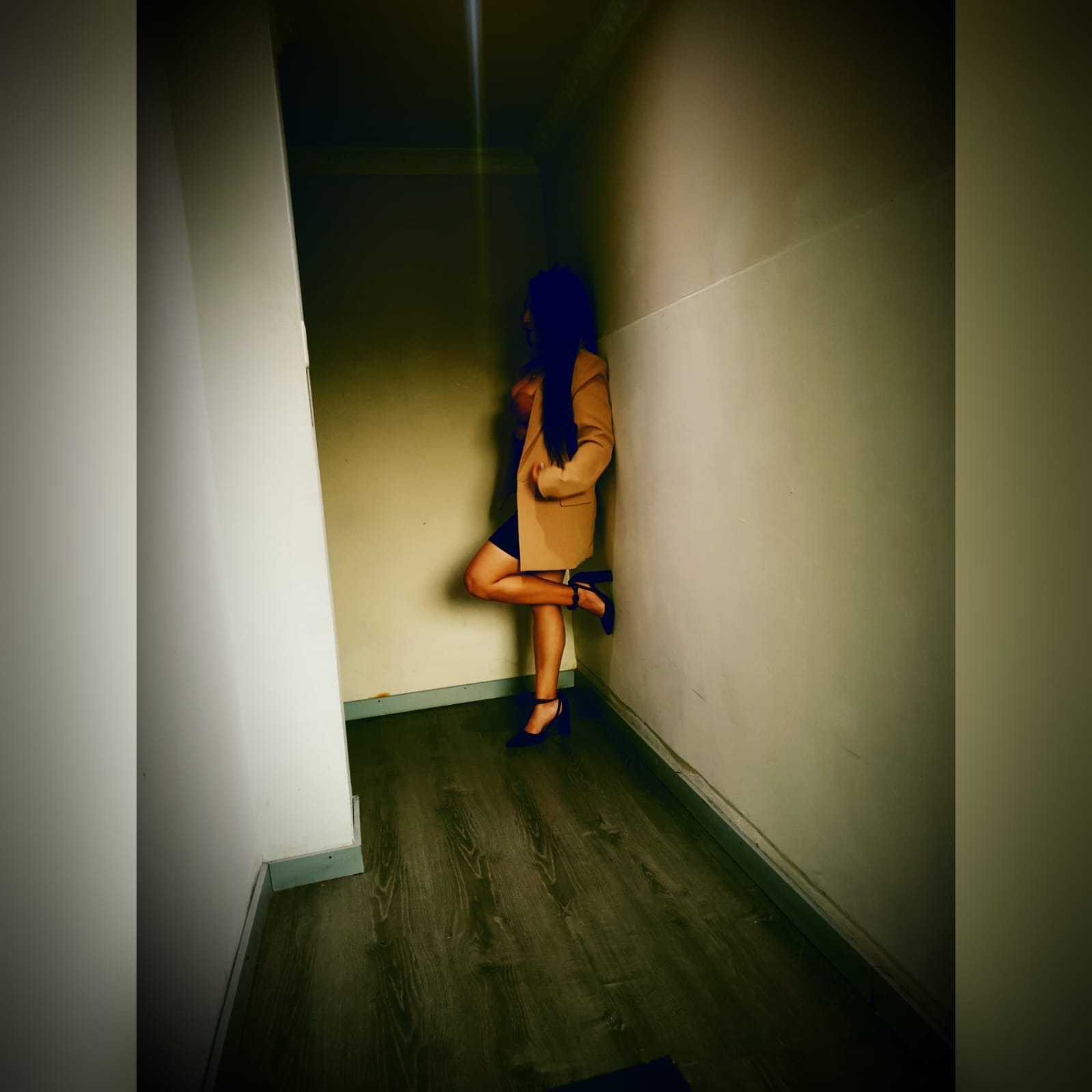 MARIA FERNANDA banner image