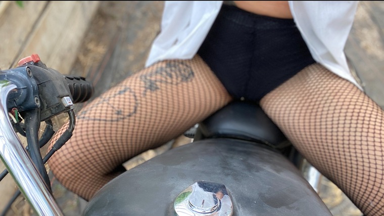 Pleasure Productions cover image