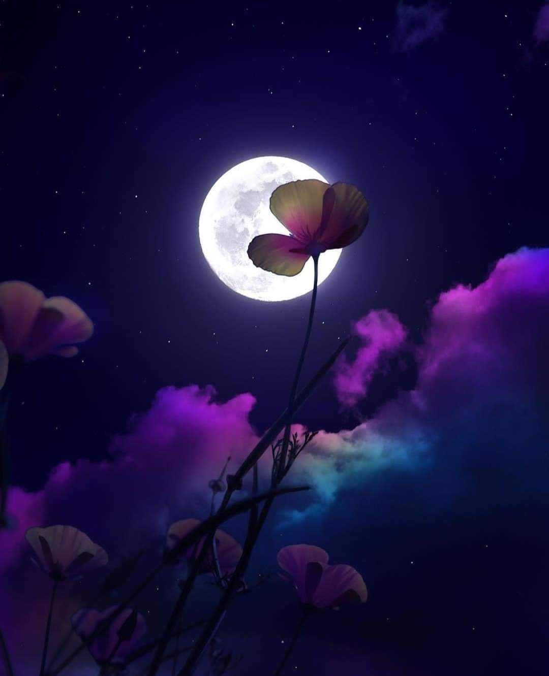 anDy banner image