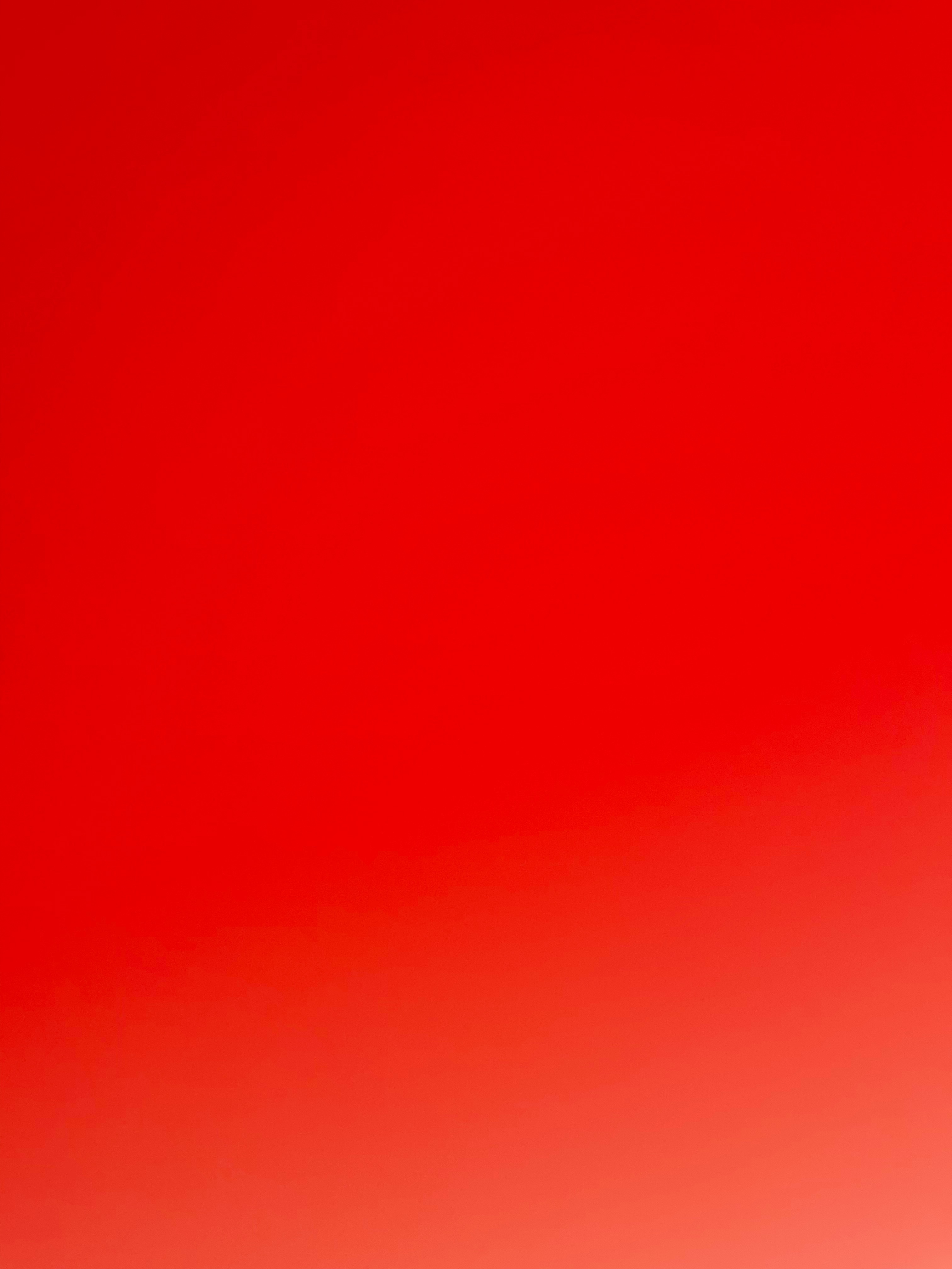 Nina banner image
