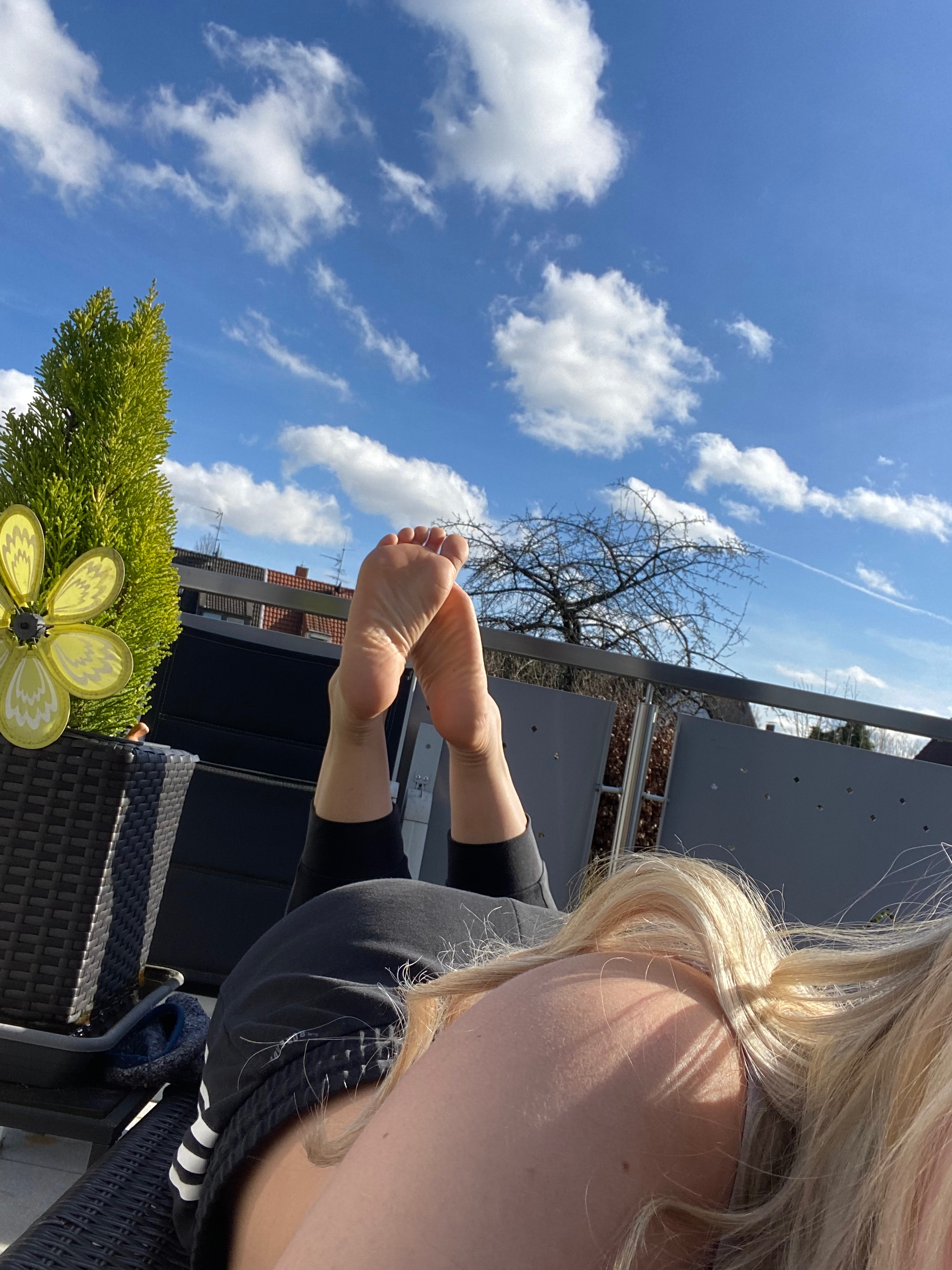Lilly Neus banner image