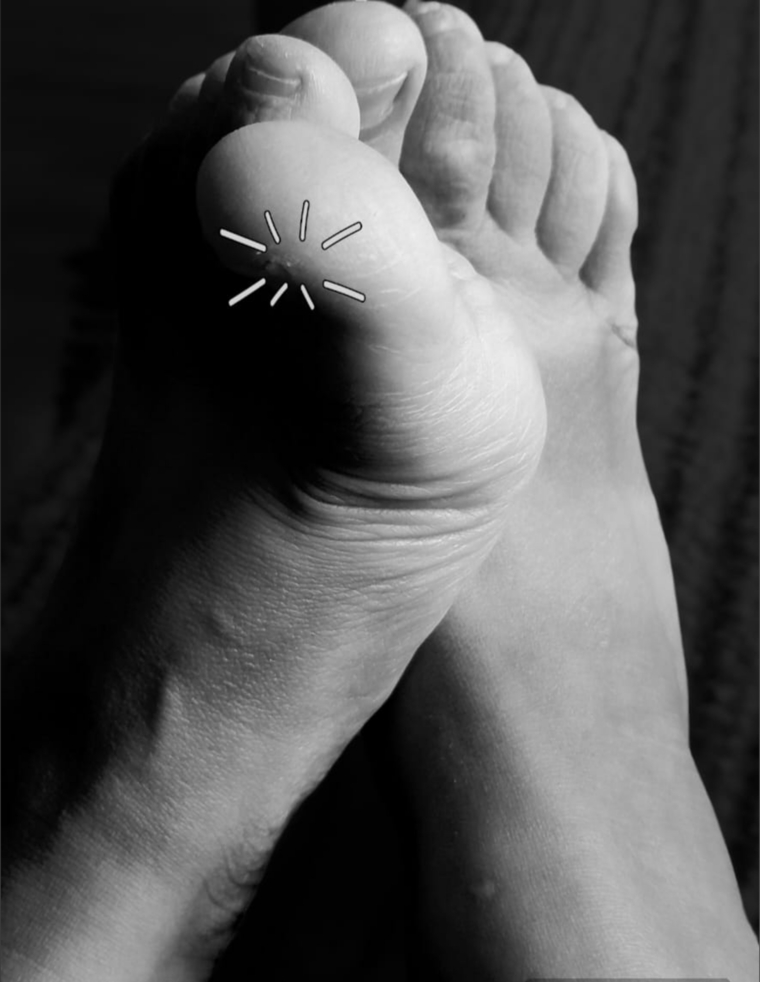 Pies Funny, feet Funny cover image