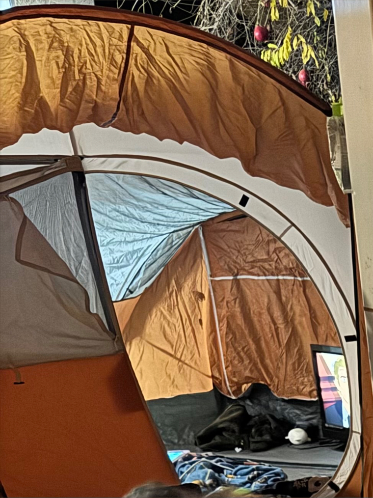 T Tent living cover image