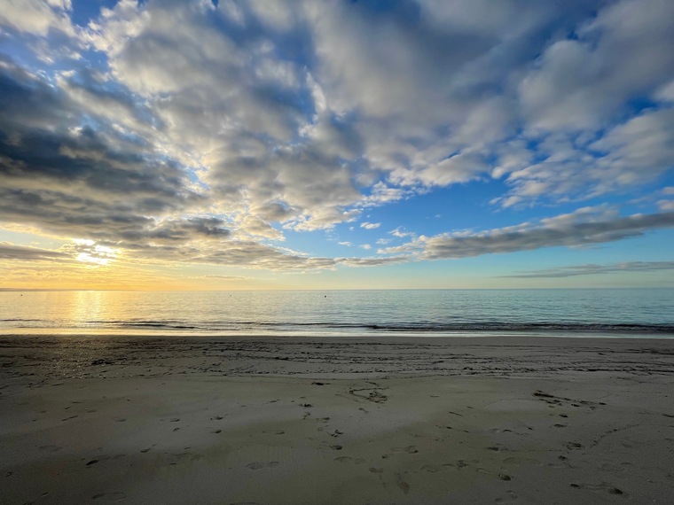 S_Maree cover image