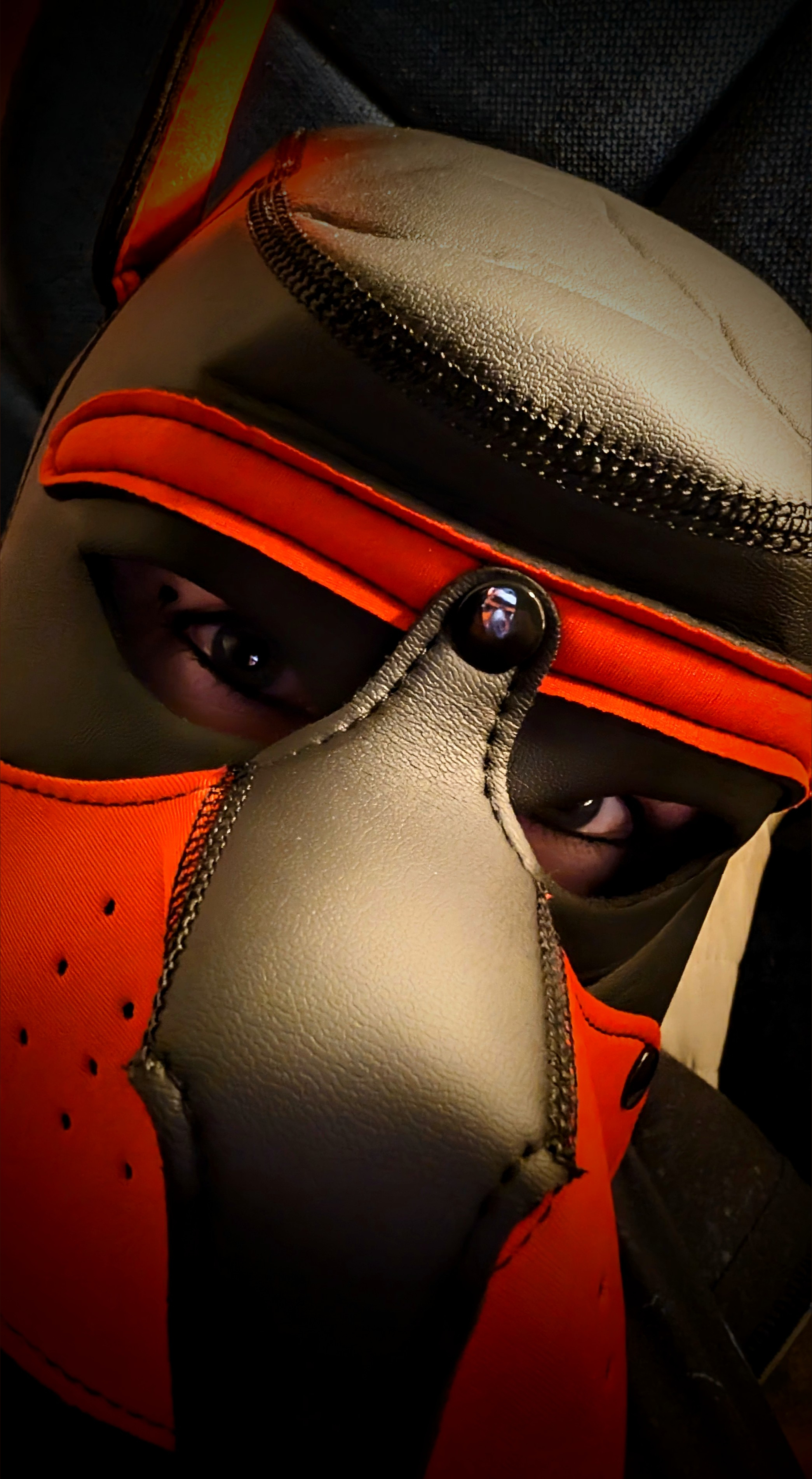 La Perra banner image