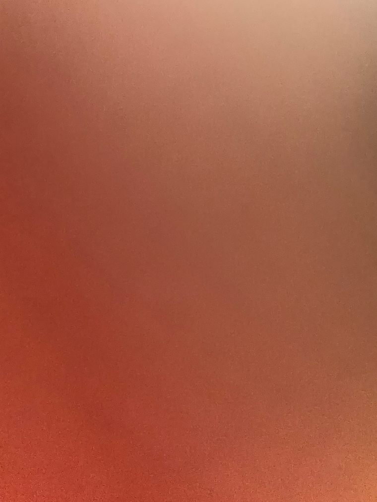 sassypytttt banner image