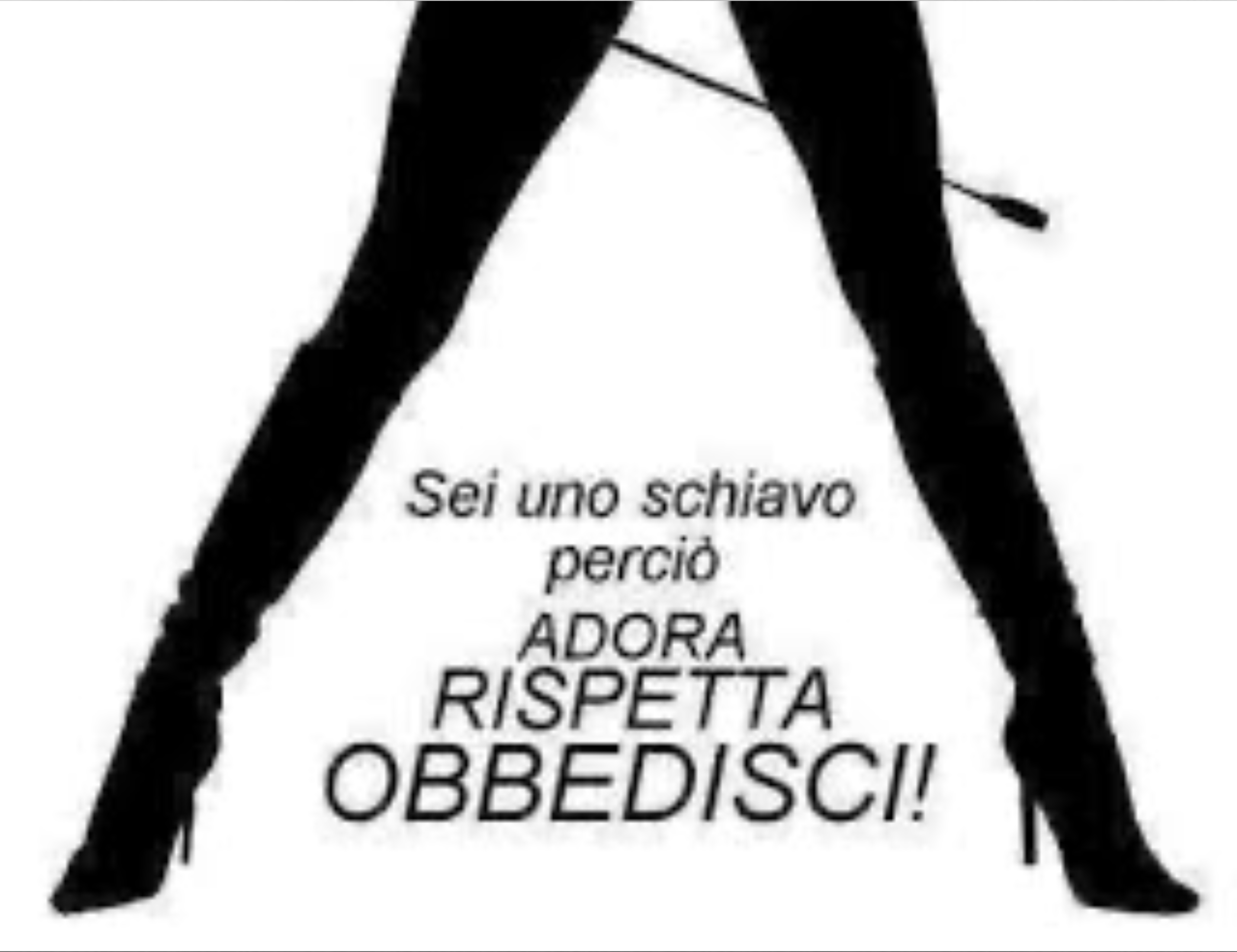 Ladyesse__ banner image