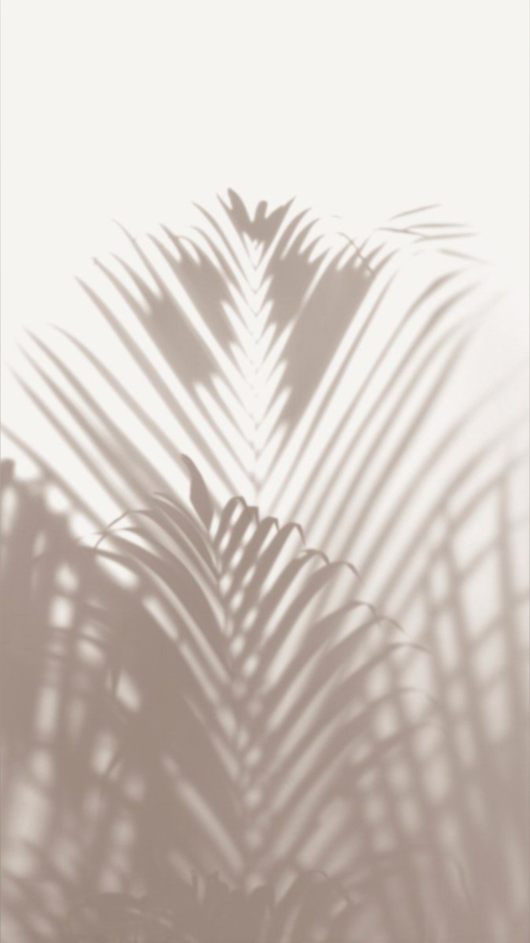 Alma cover image