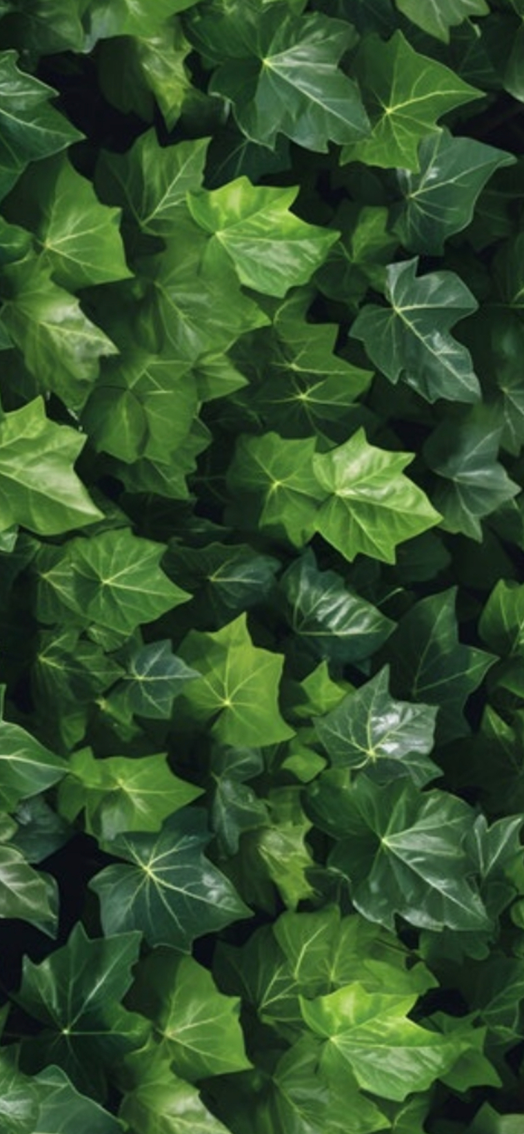 jessicalaurenivy cover image