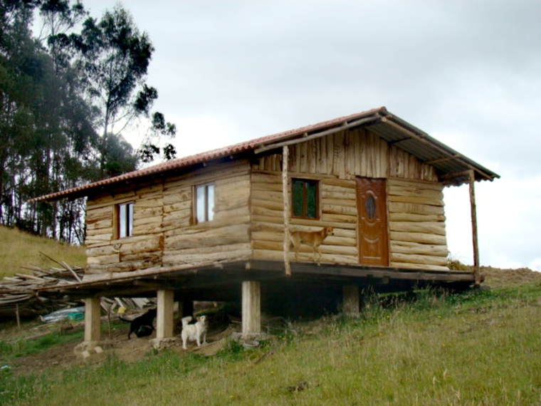 Martín Guzmán banner image