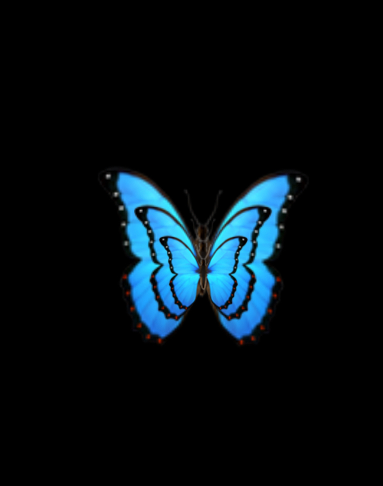 Silkybutterfly cover image