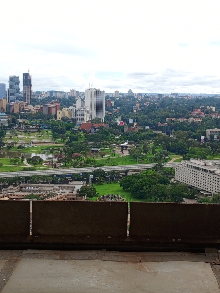 KenyanIcon254 banner image