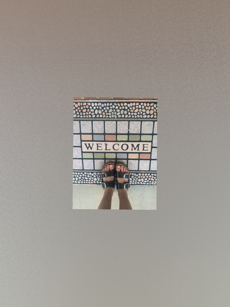 Savanna banner image