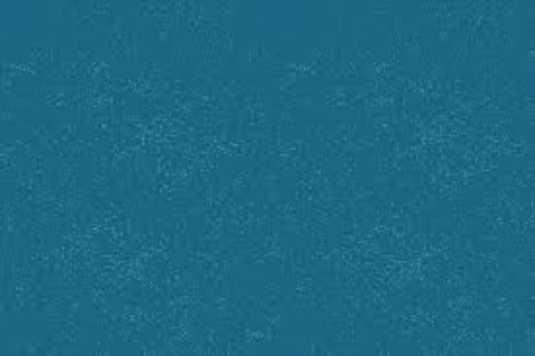 kaninaolg banner image