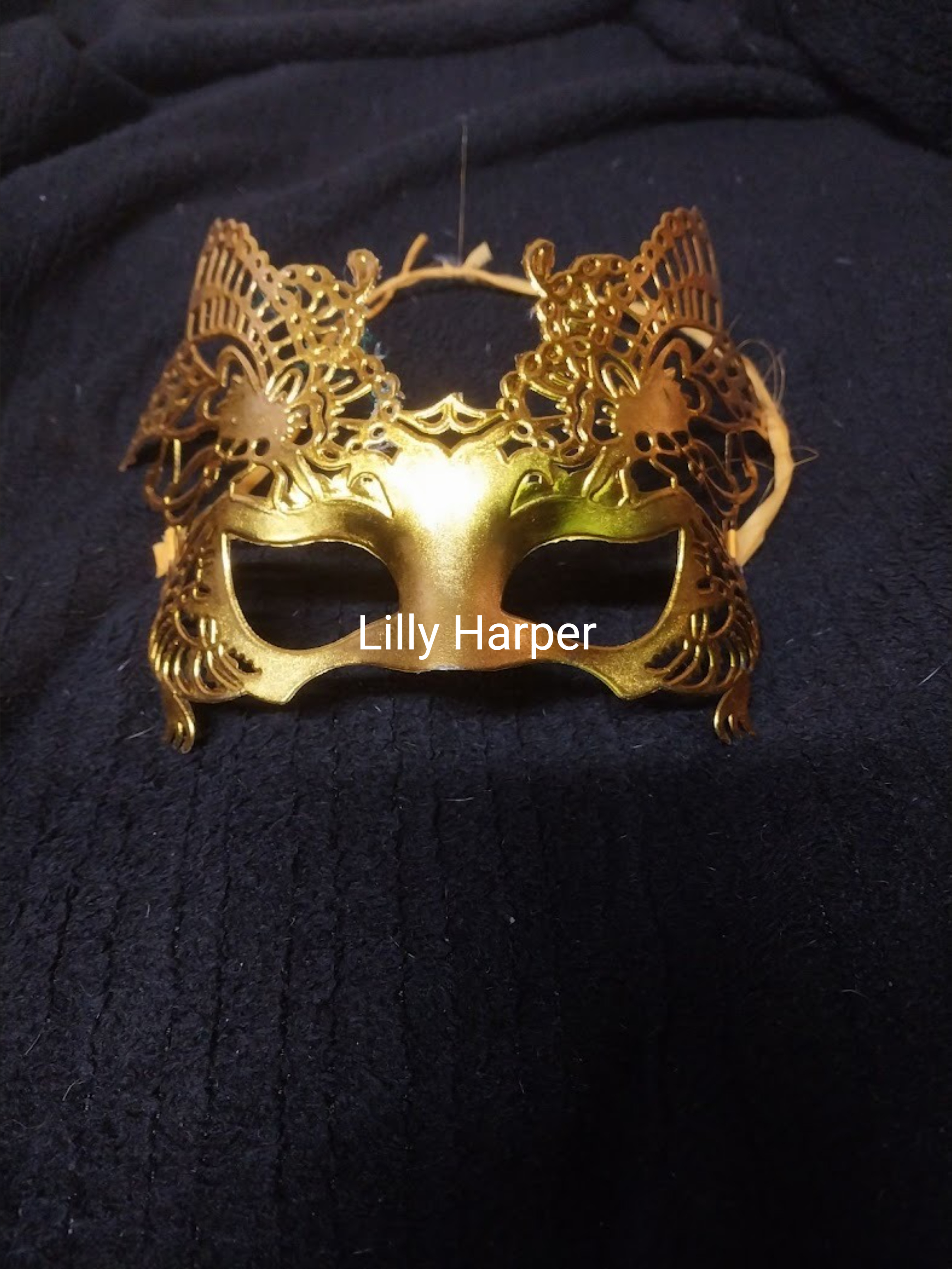 lillyharper banner image