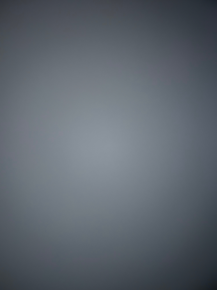 Lina banner image