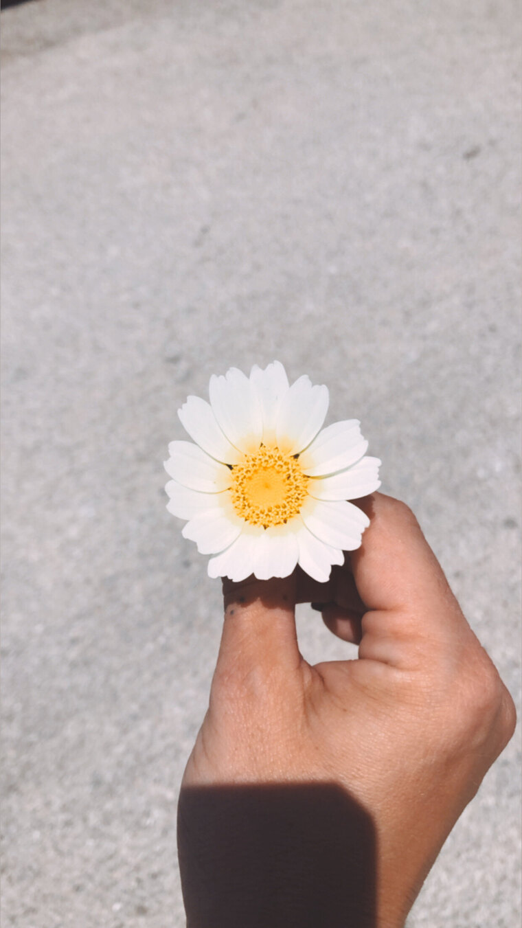 María cover image