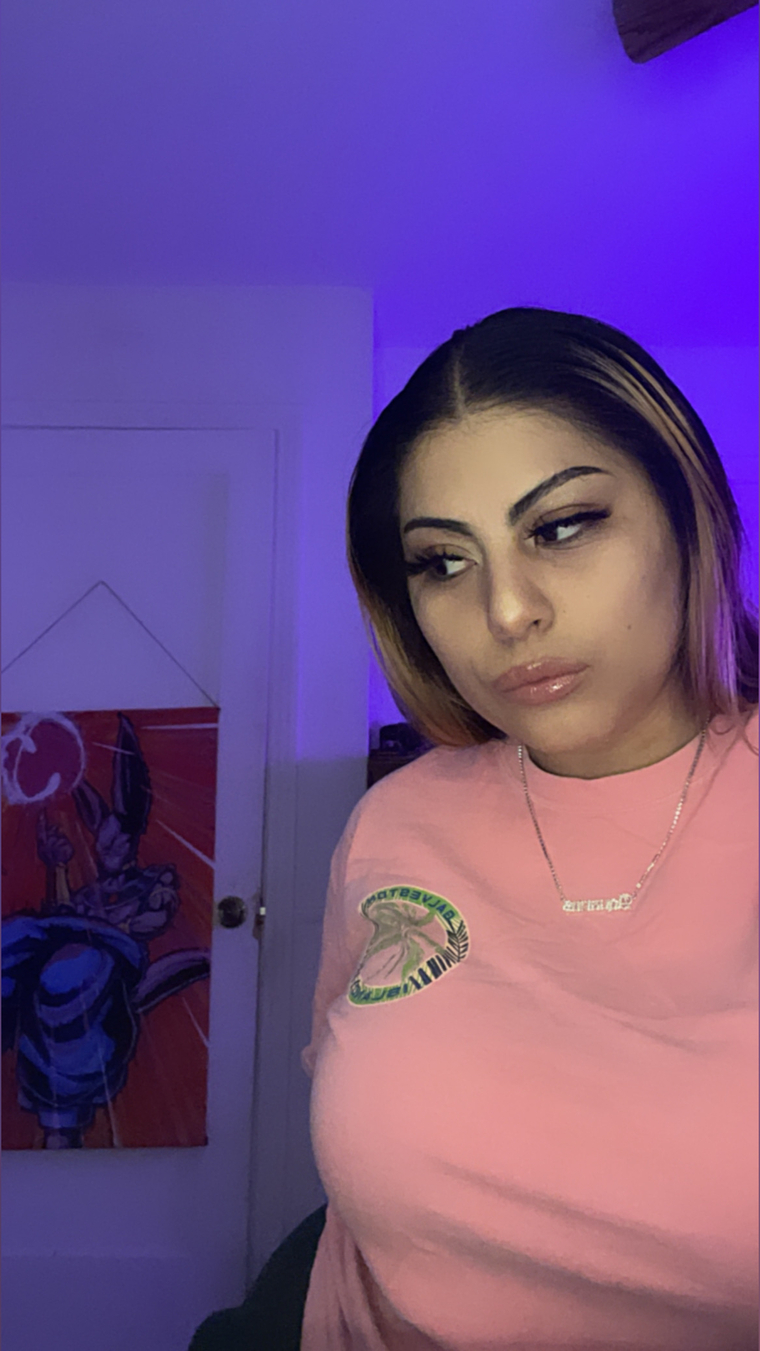 latinaspiceheist banner image