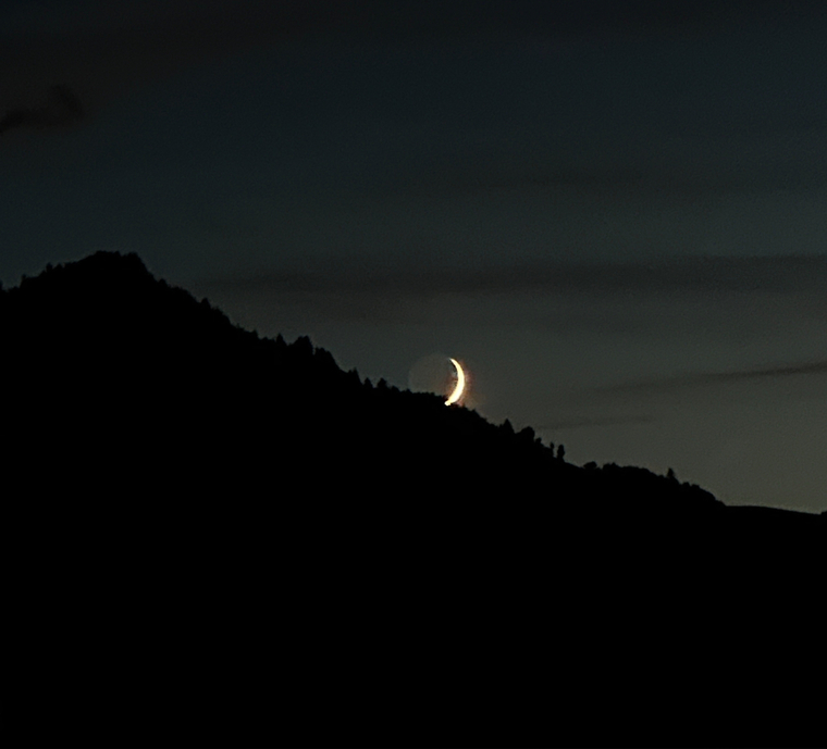 nad banner image