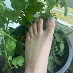 North Foot avatar