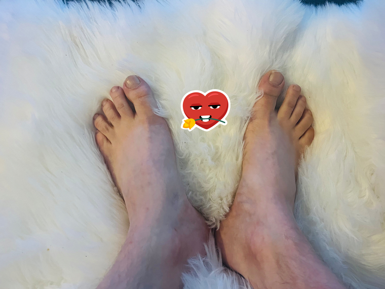 North Foot cover image