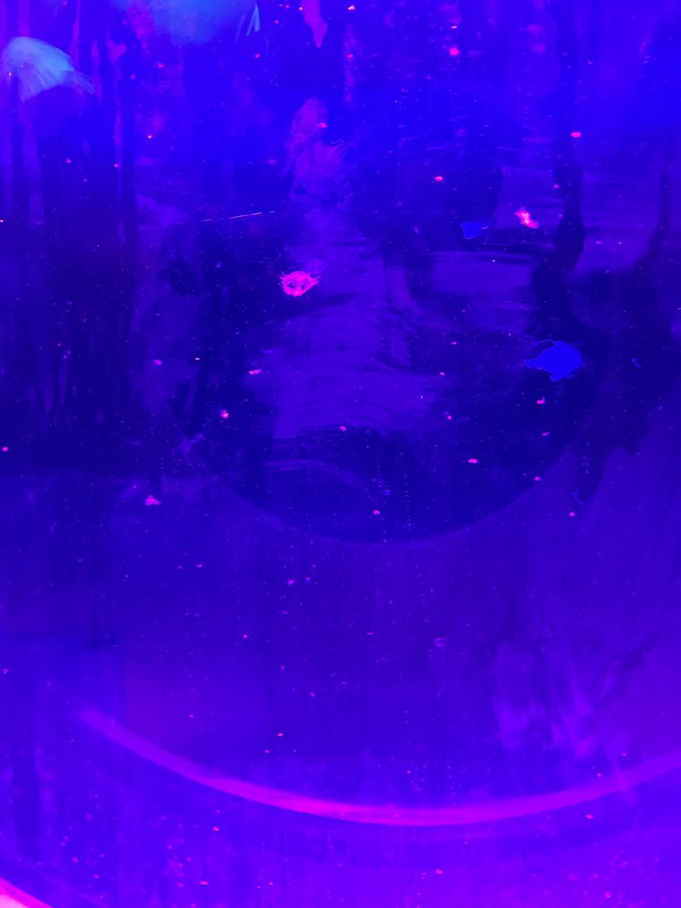 Freaky.girl_x cover image