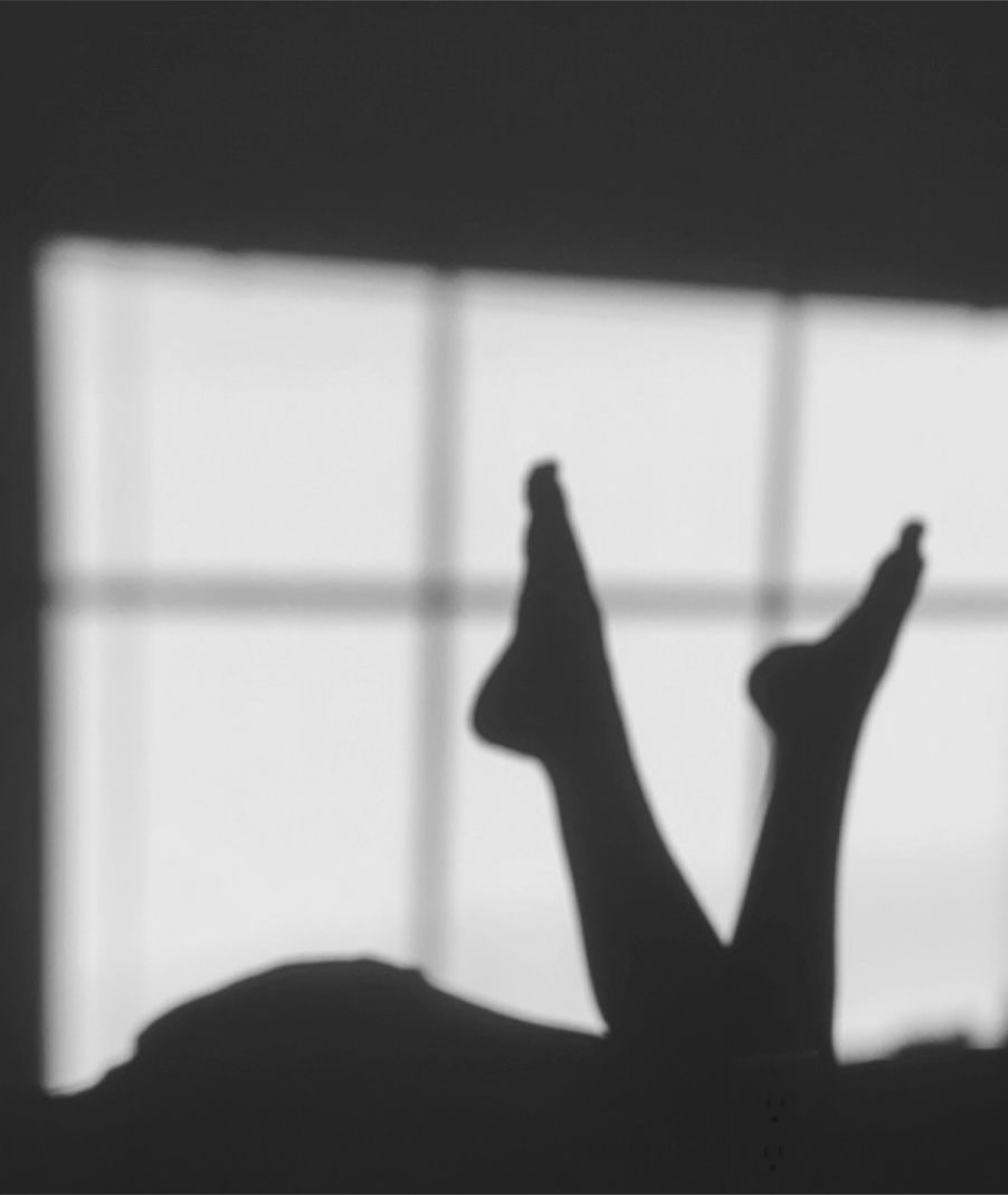 Feminine Feet banner image